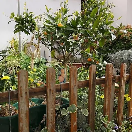 The Gate Patio House Nazaré