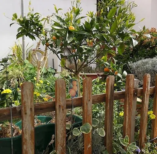 The Gate Patio House נאזרה